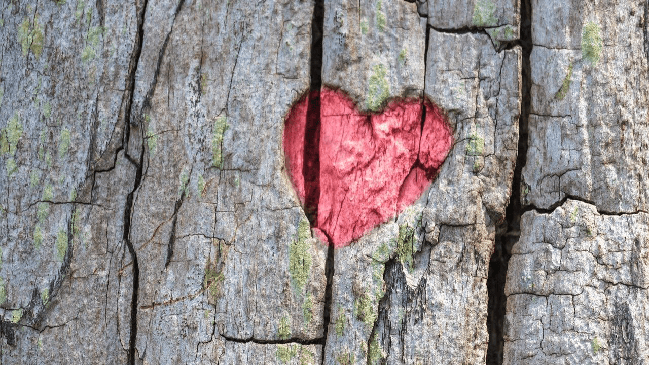 Healing Through the Word: How Scripture Supports Emotional Restoration