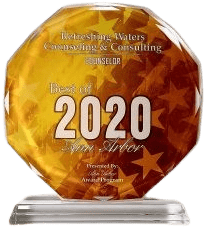 Counselor Award 2020 logo
