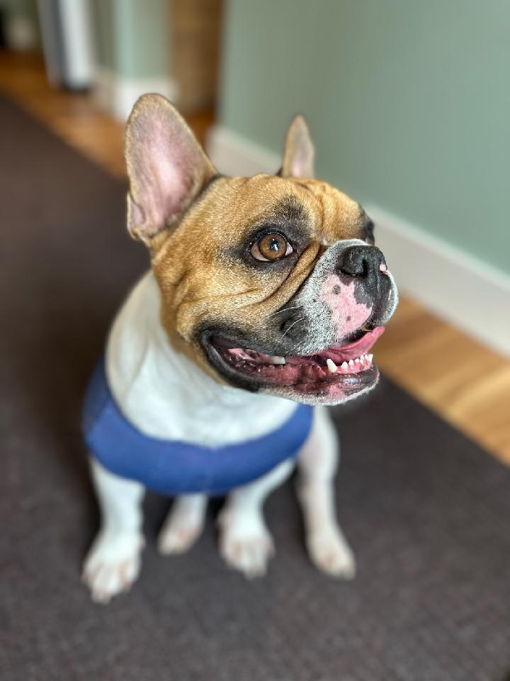 Profile picture of Reno